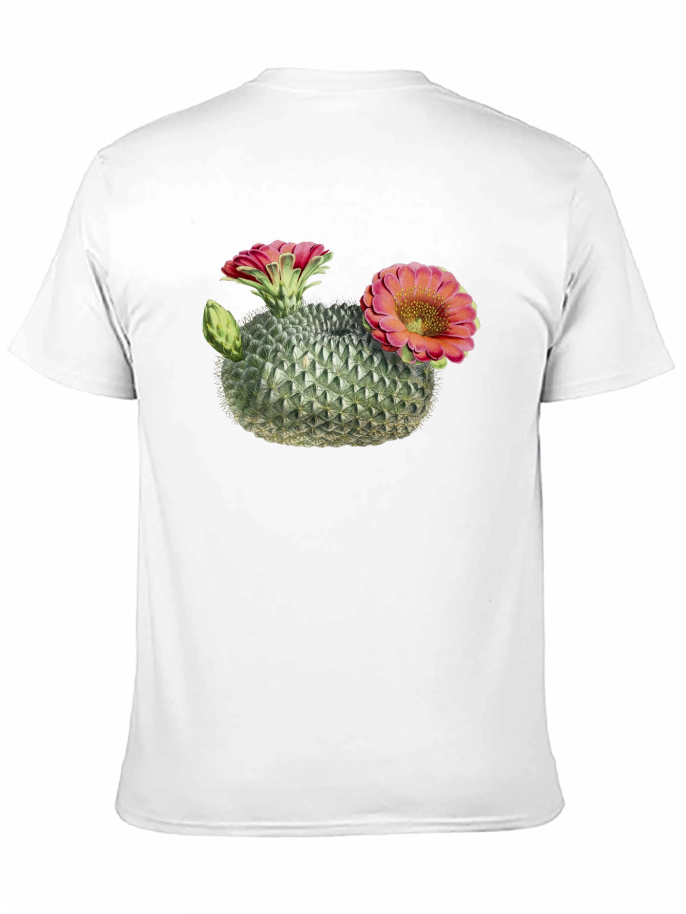 Blooming Cactus Graphic Black T-Shirt