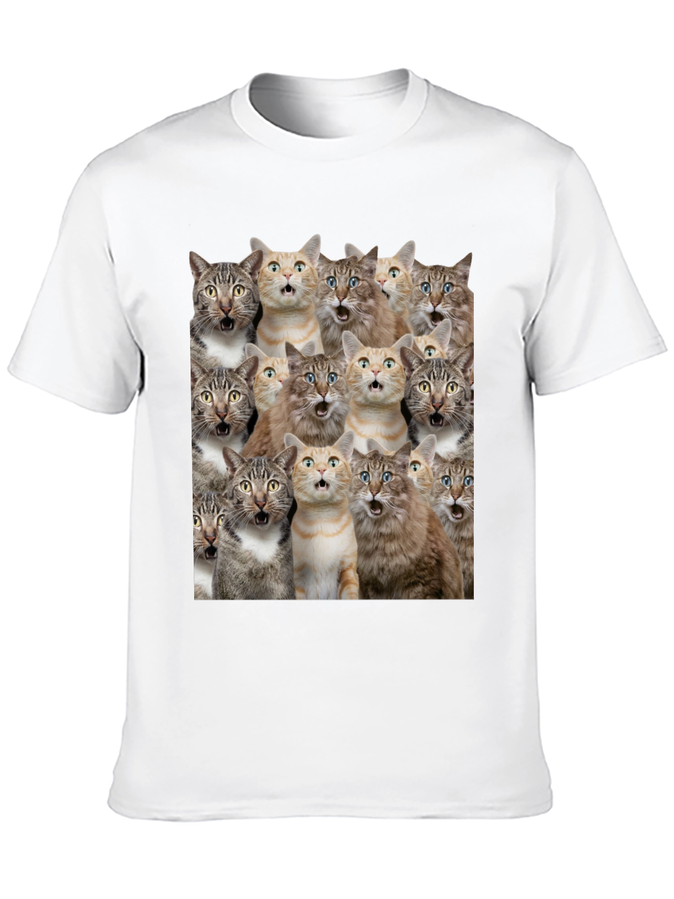 Surprised Cats Graphic Tee - Funny Mens T-Shirt