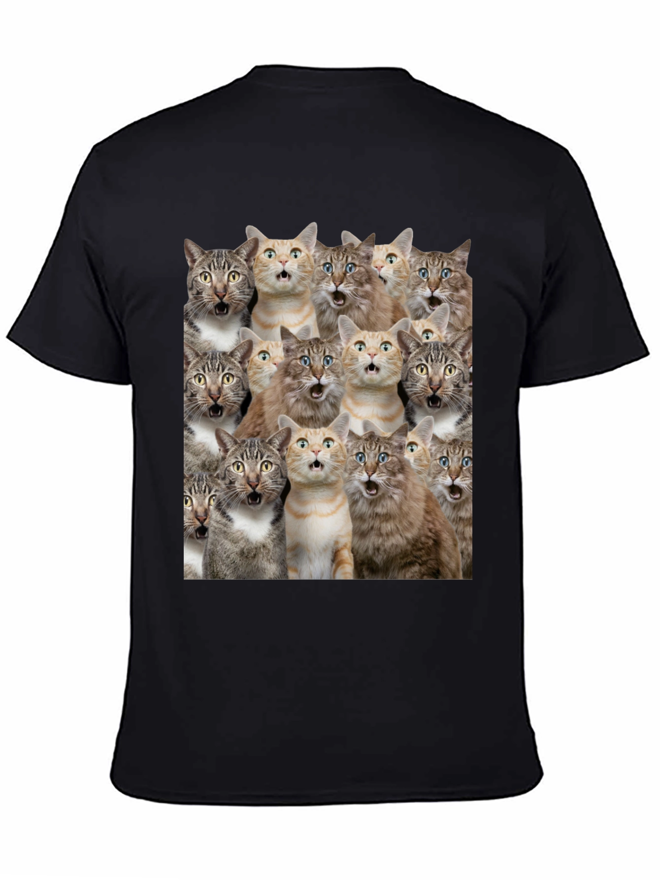 Surprised Cats Graphic Tee - Funny Mens T-Shirt
