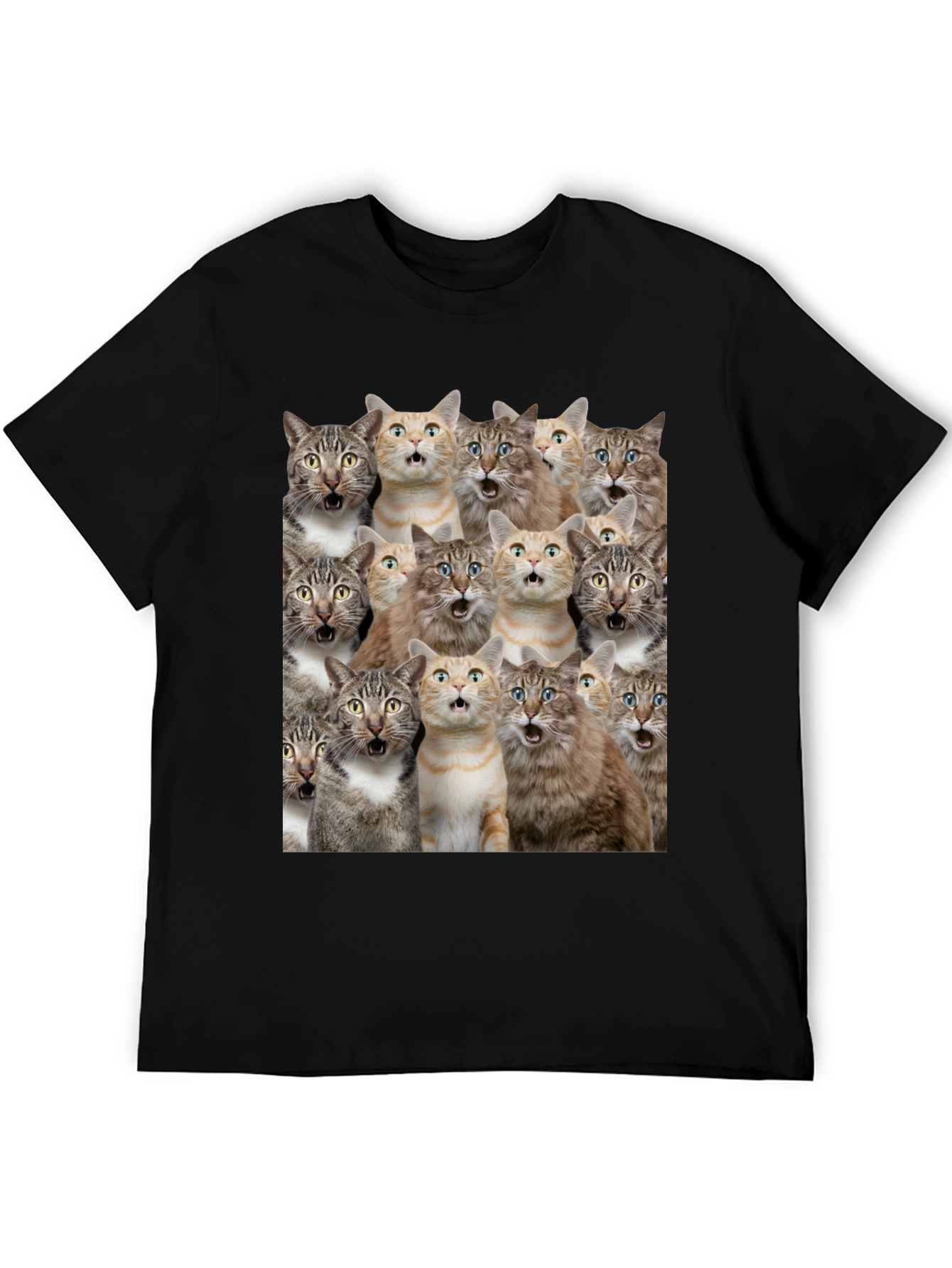 Surprised Cats Graphic Tee - Funny Mens T-Shirt