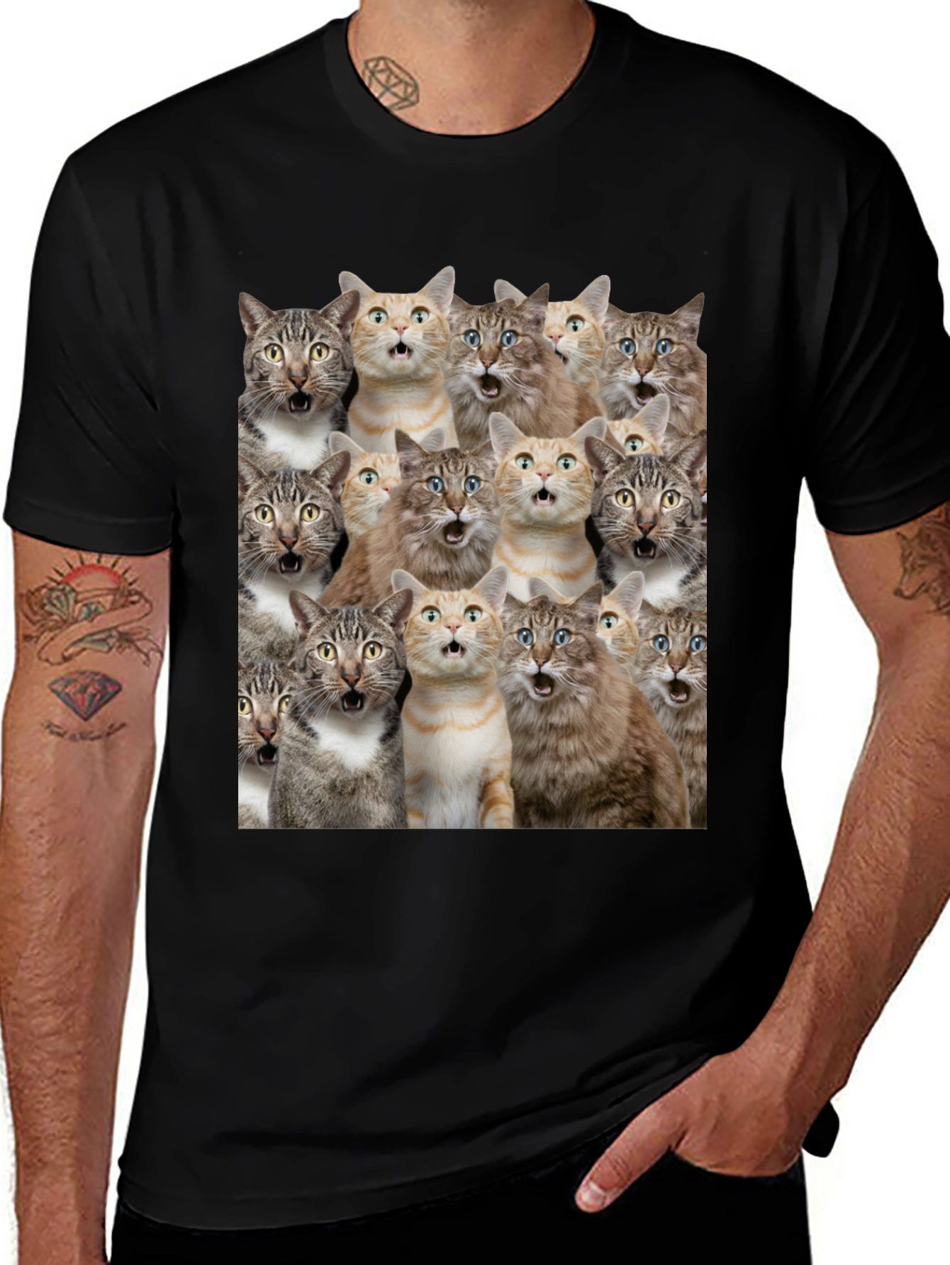 Surprised Cats Graphic Tee - Funny Mens T-Shirt