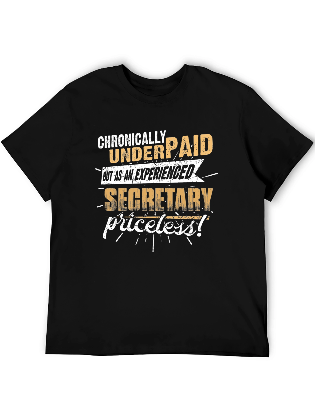 Chronically Underpaid Secretary T-Shirt