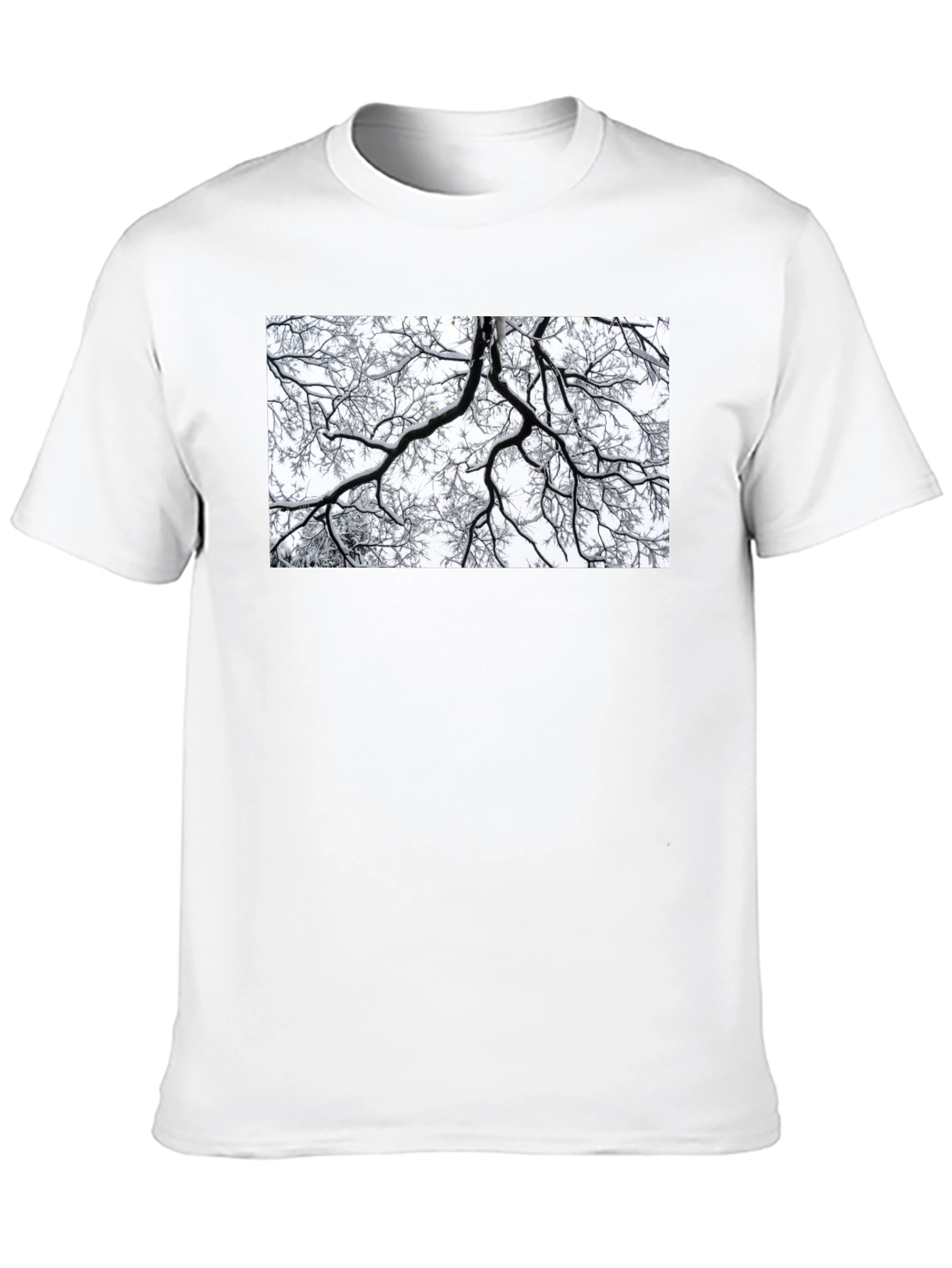 Winter Branches Graphic Tee