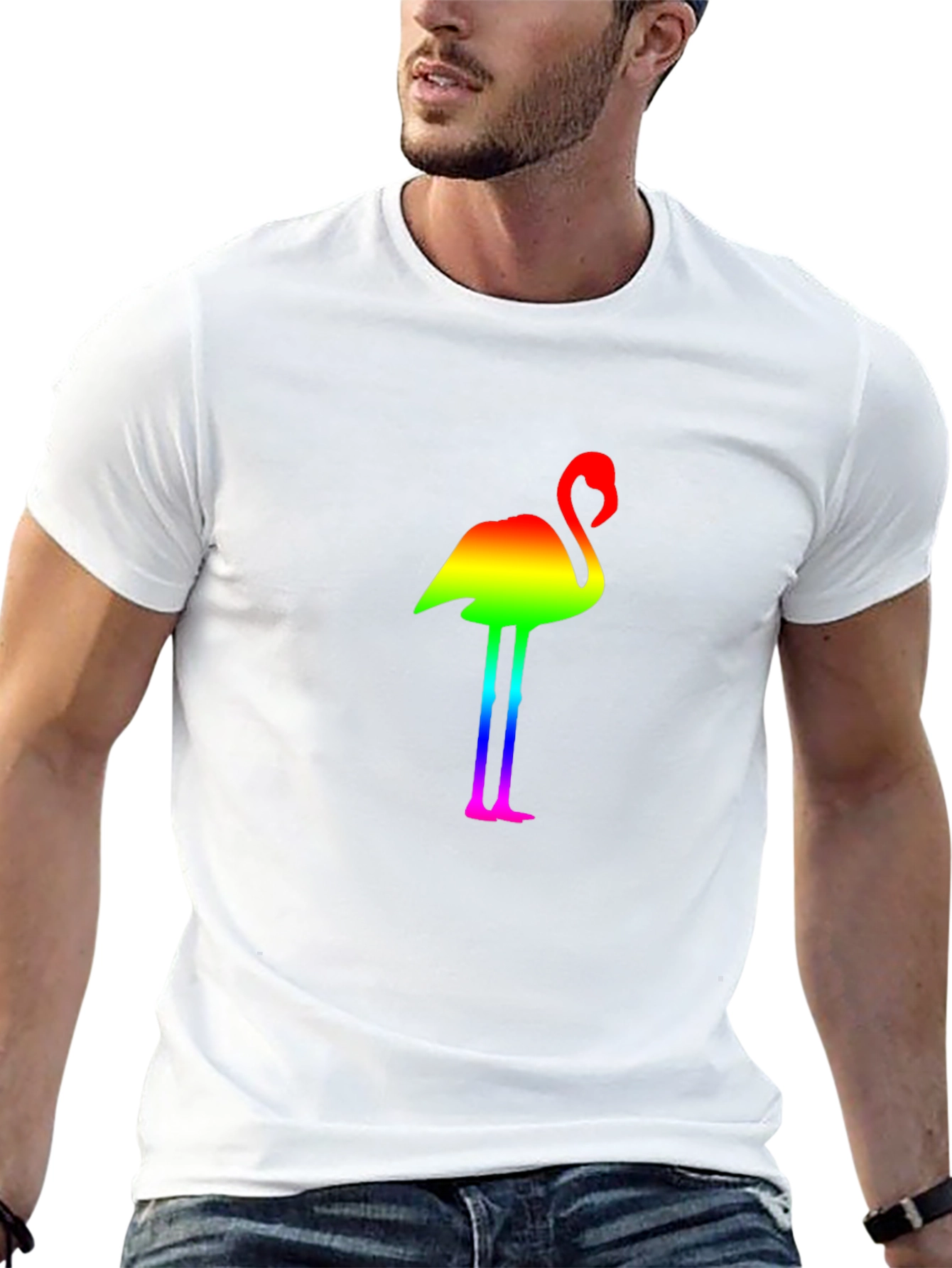 Rainbow Flamingo Graphic Black T-Shirt