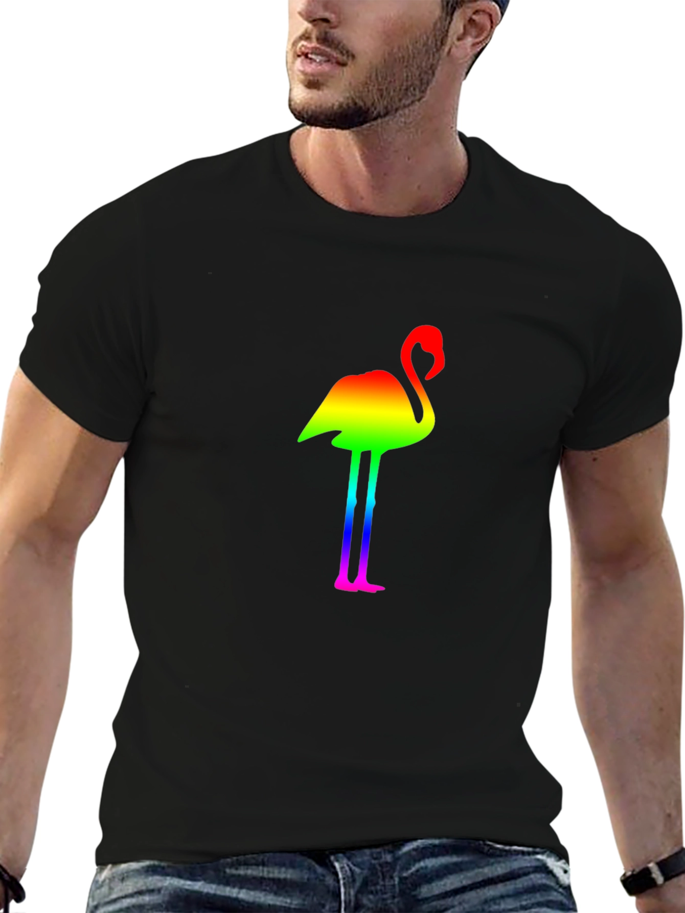 Rainbow Flamingo Graphic Black T-Shirt