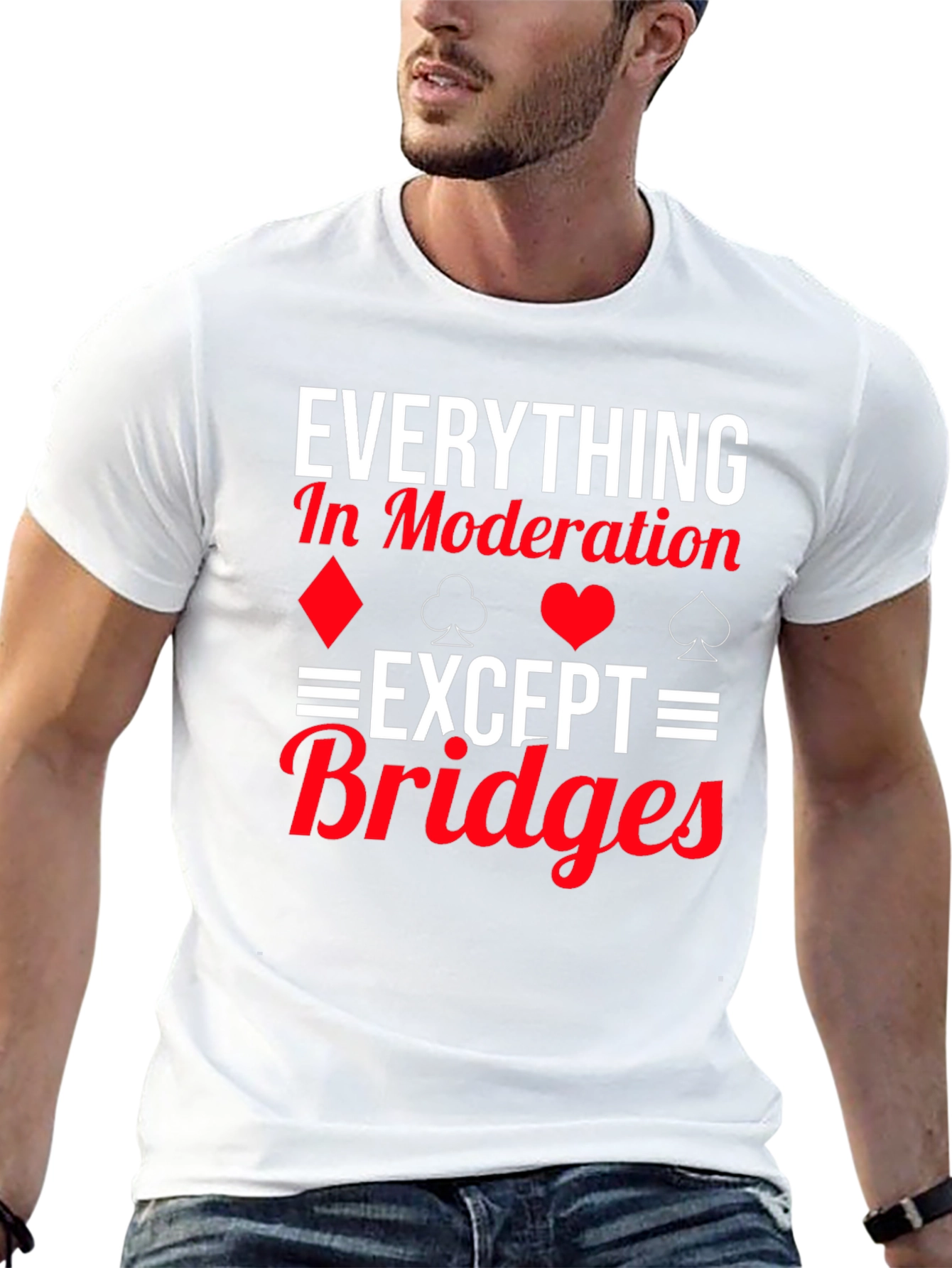 Everything in Moderation Except Bridges T-Shirt