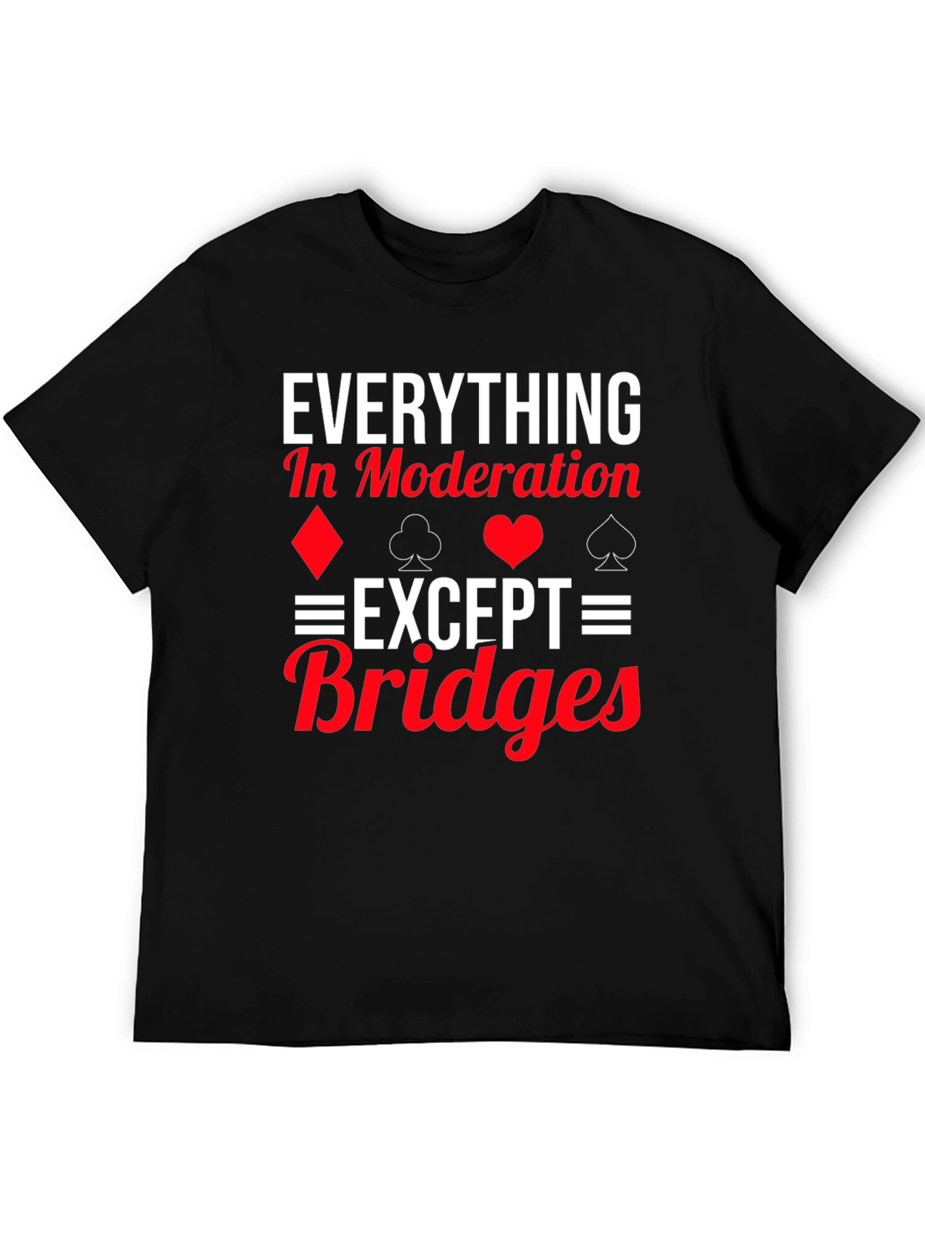 Everything in Moderation Except Bridges T-Shirt