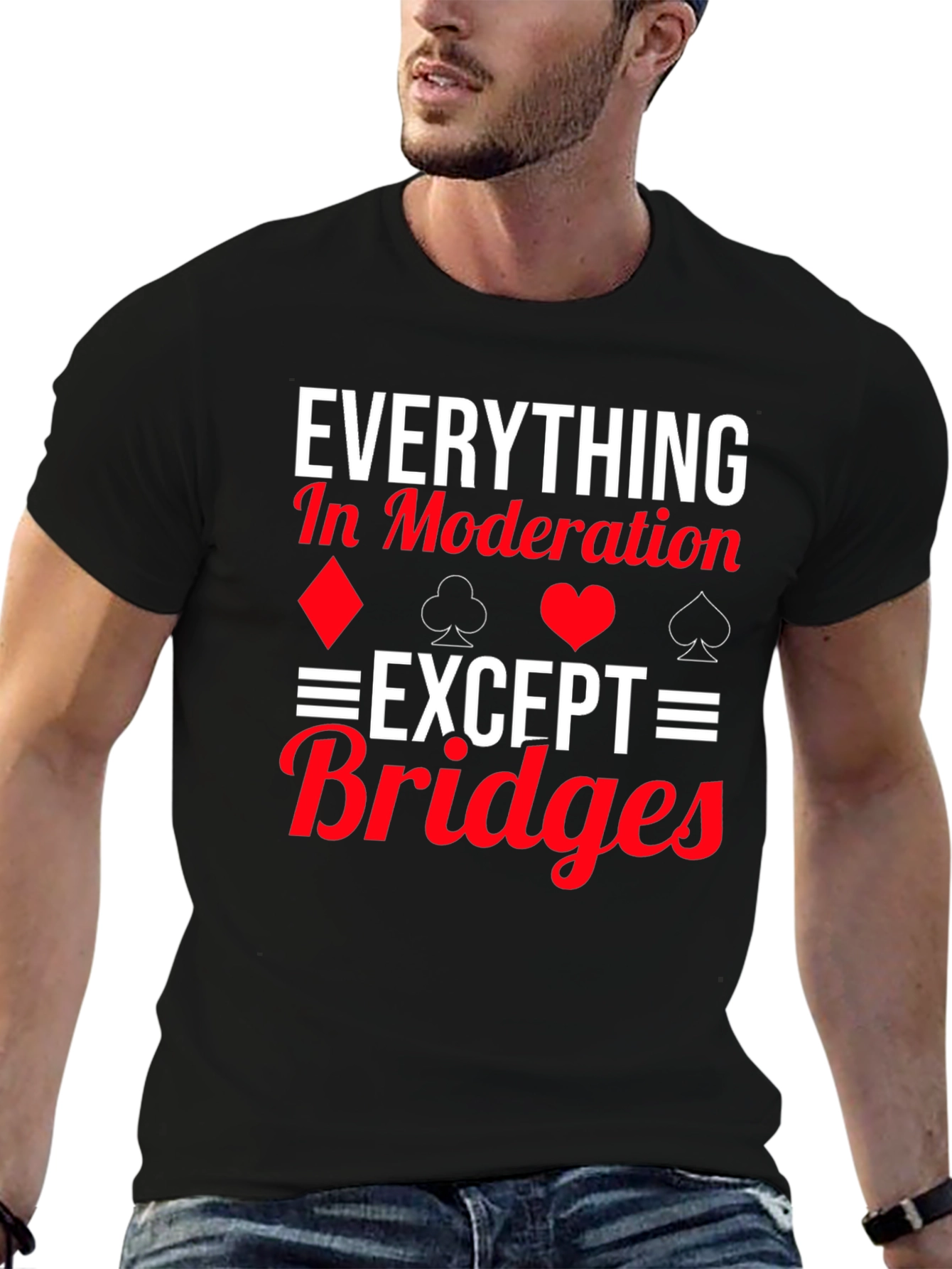 Everything in Moderation Except Bridges T-Shirt
