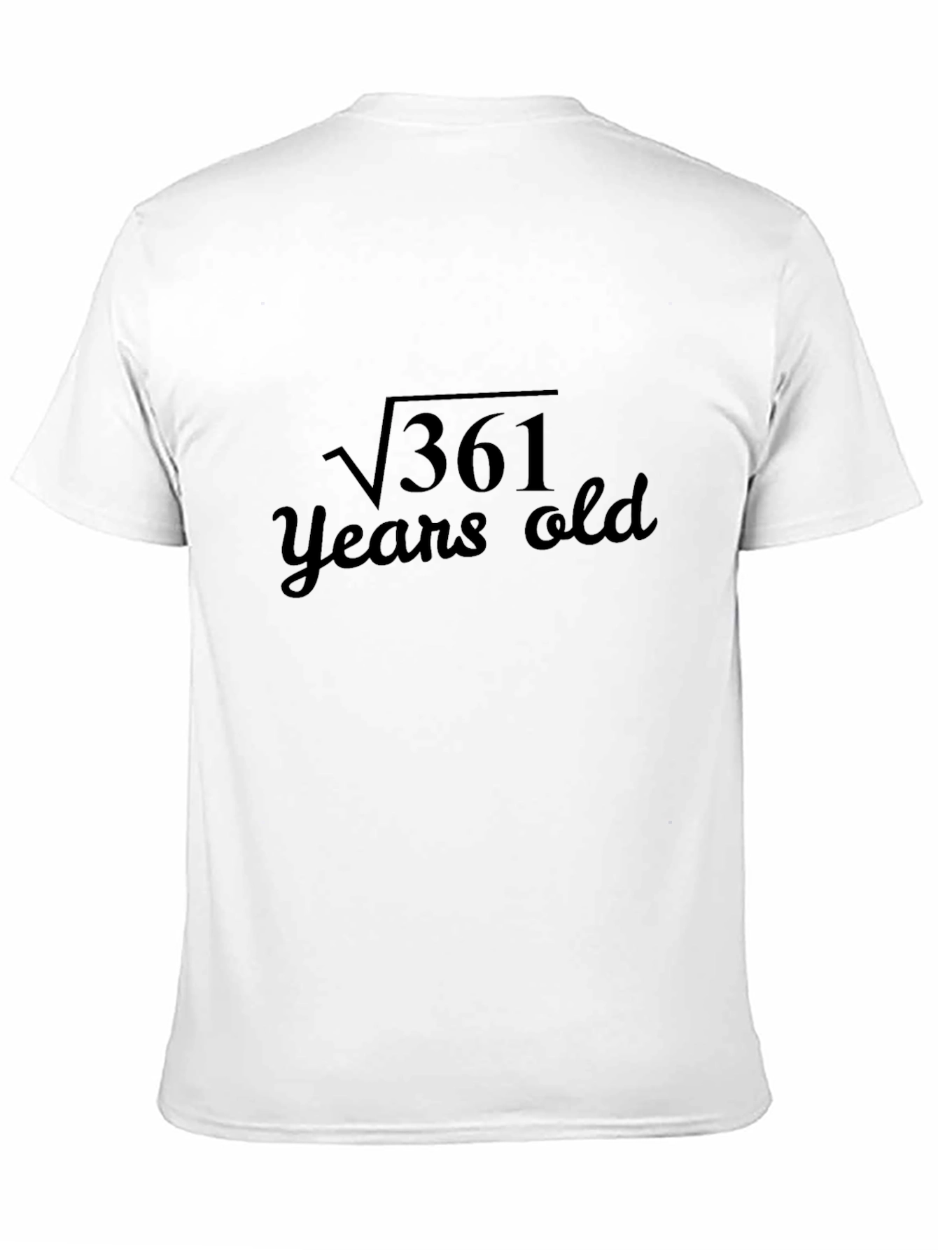 Funny 19th Birthday T-Shirt Square Root of 361
