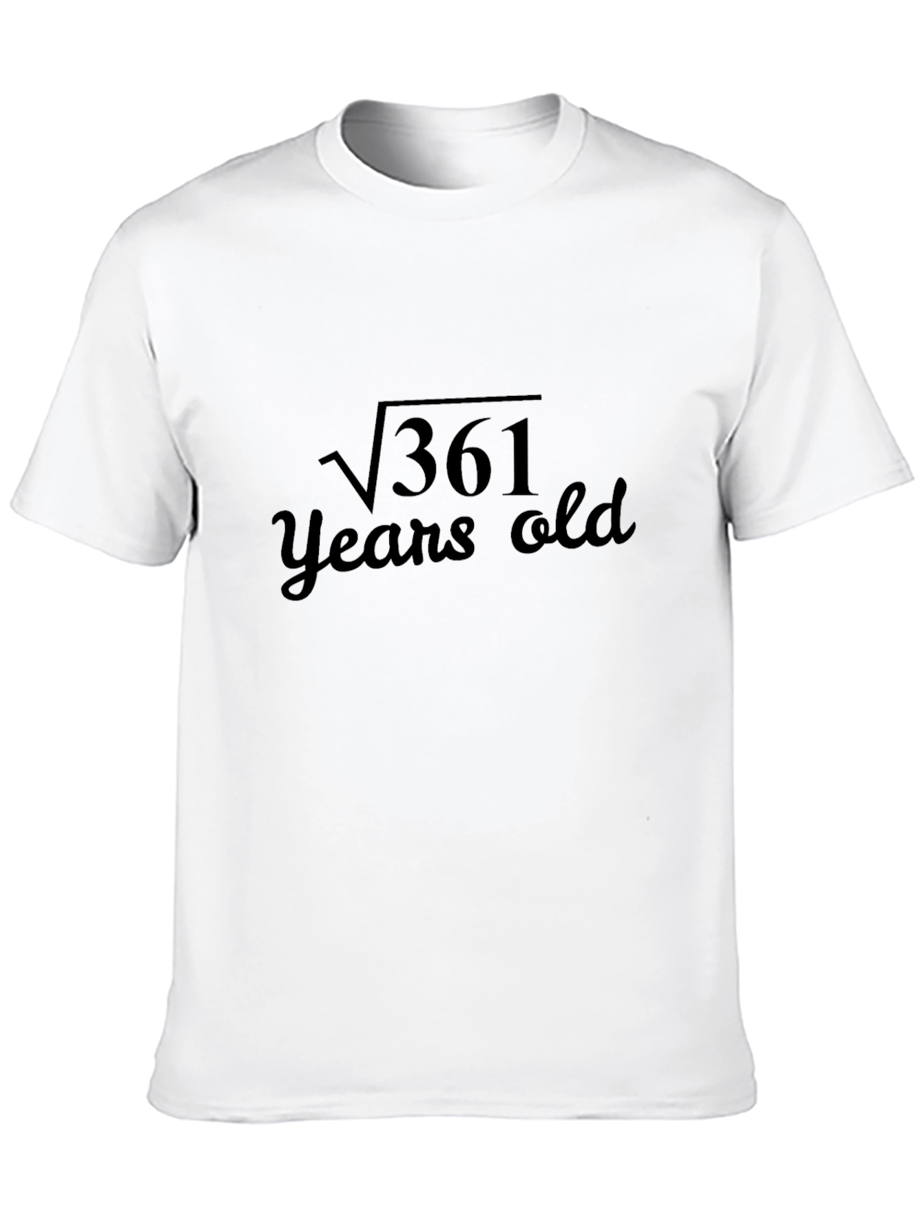 Funny 19th Birthday T-Shirt Square Root of 361