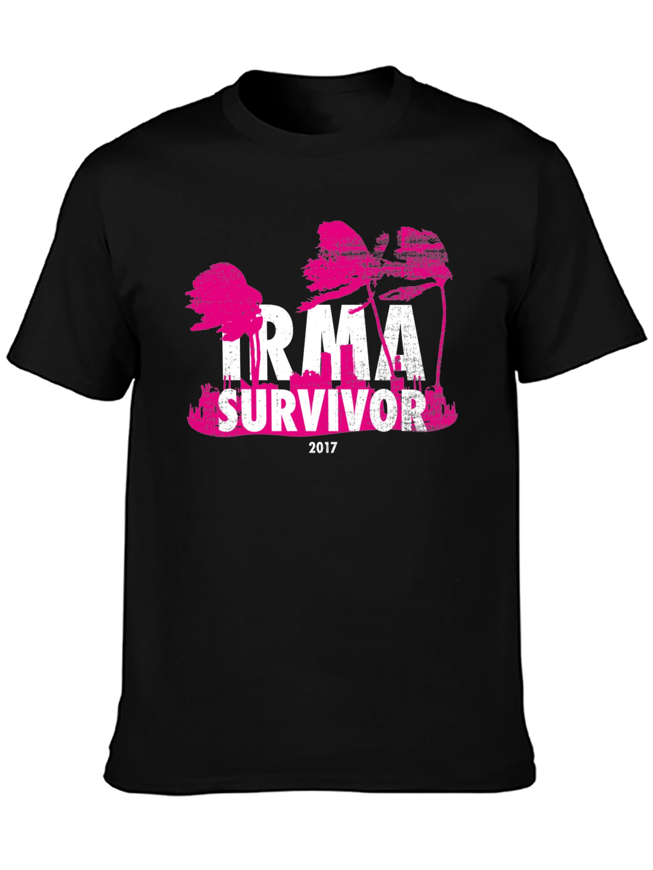 Irma Survivor 2017 T-Shirt