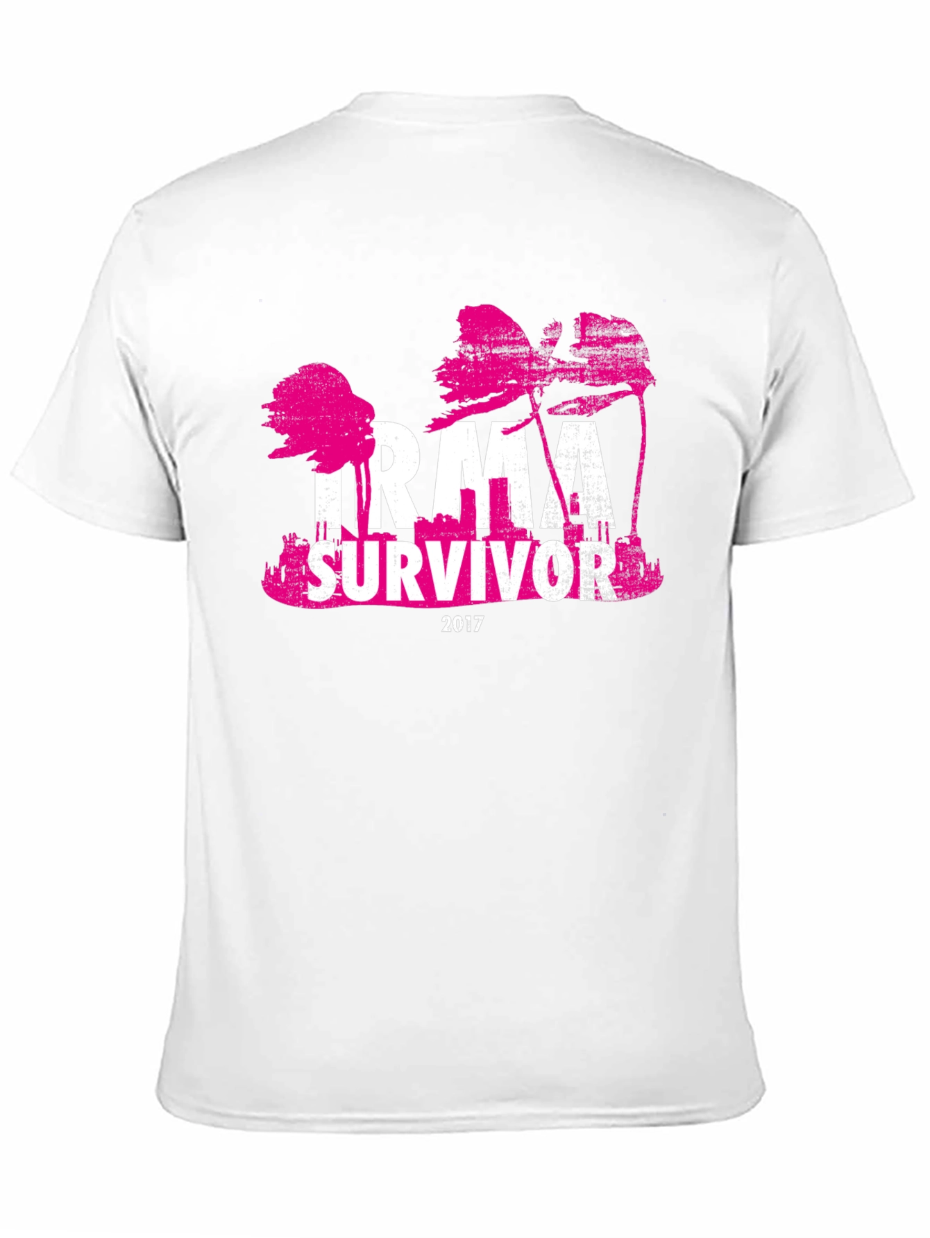 Irma Survivor 2017 T-Shirt