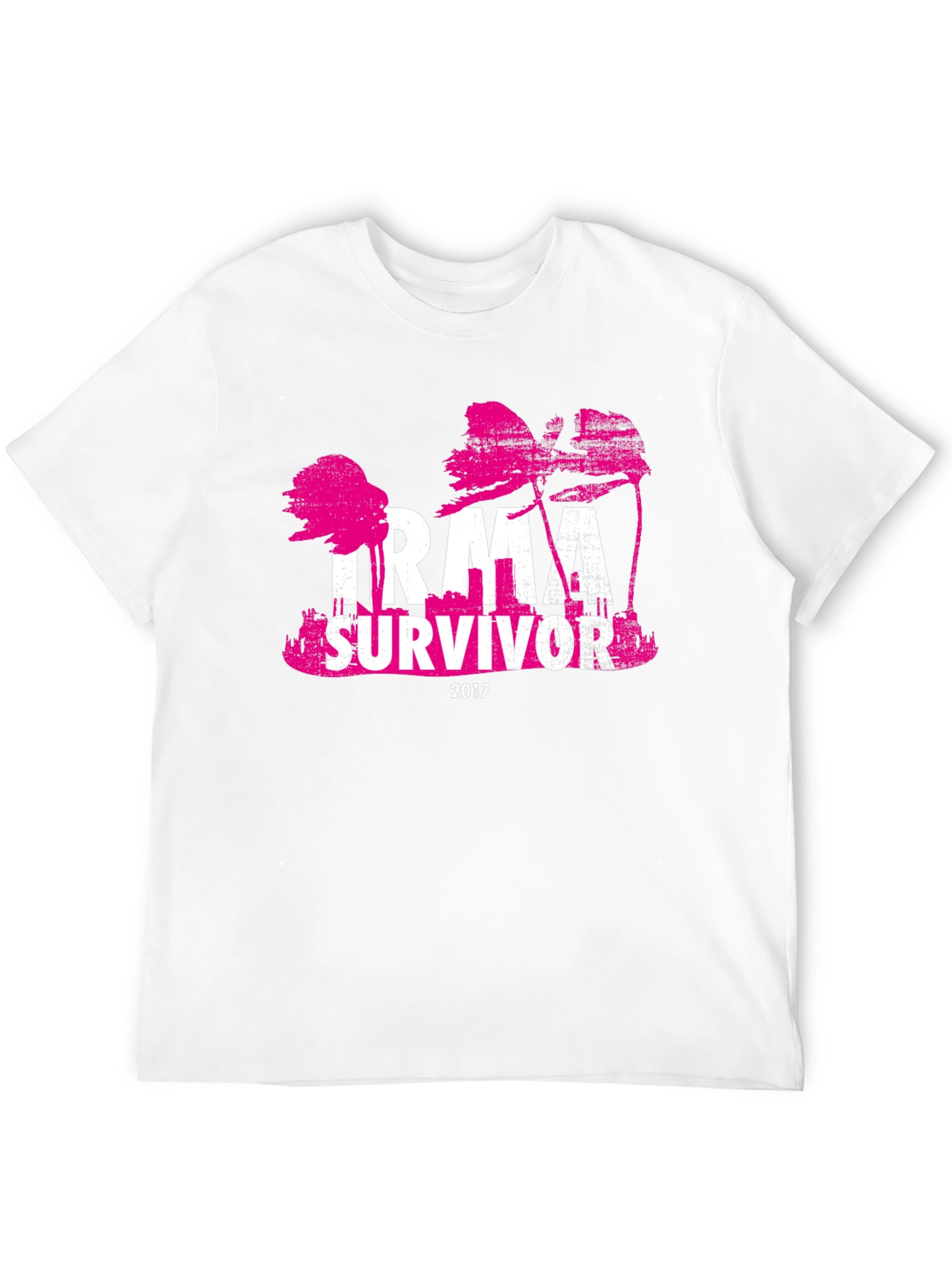 Irma Survivor 2017 T-Shirt