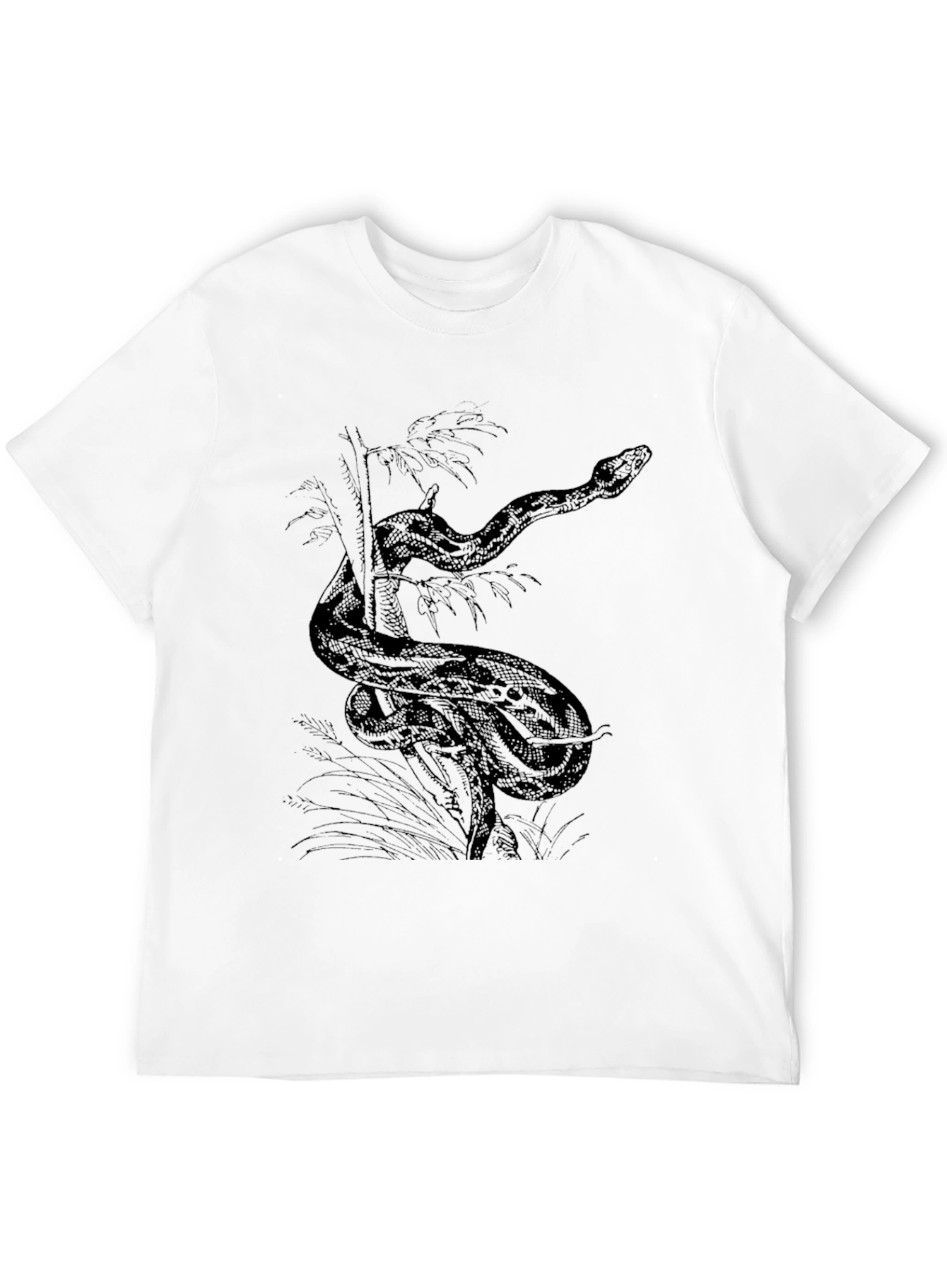Snake Graphic Tee - Black Cotton Comfort